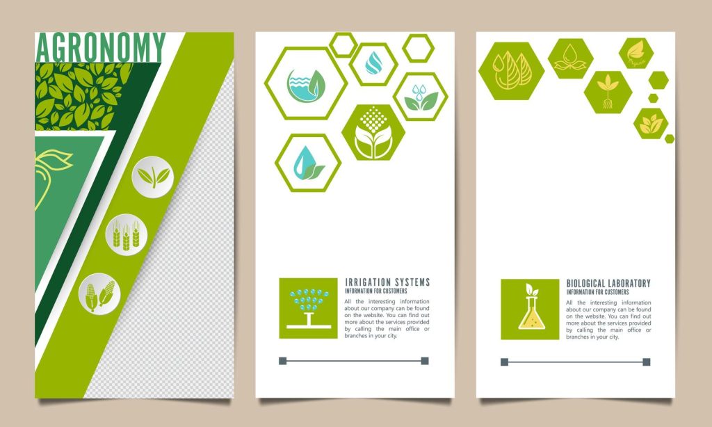 Graphic Design Services for Non-Profits: Brochures & Posters for Fundraising Campaigns 